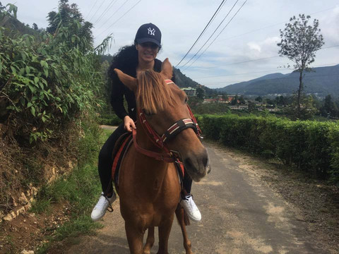 SriLankan Guru-科伦坡必去景点