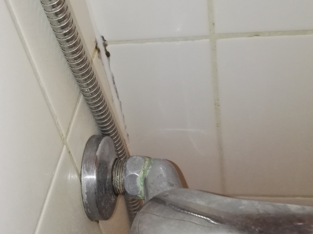 Residence Yser主图