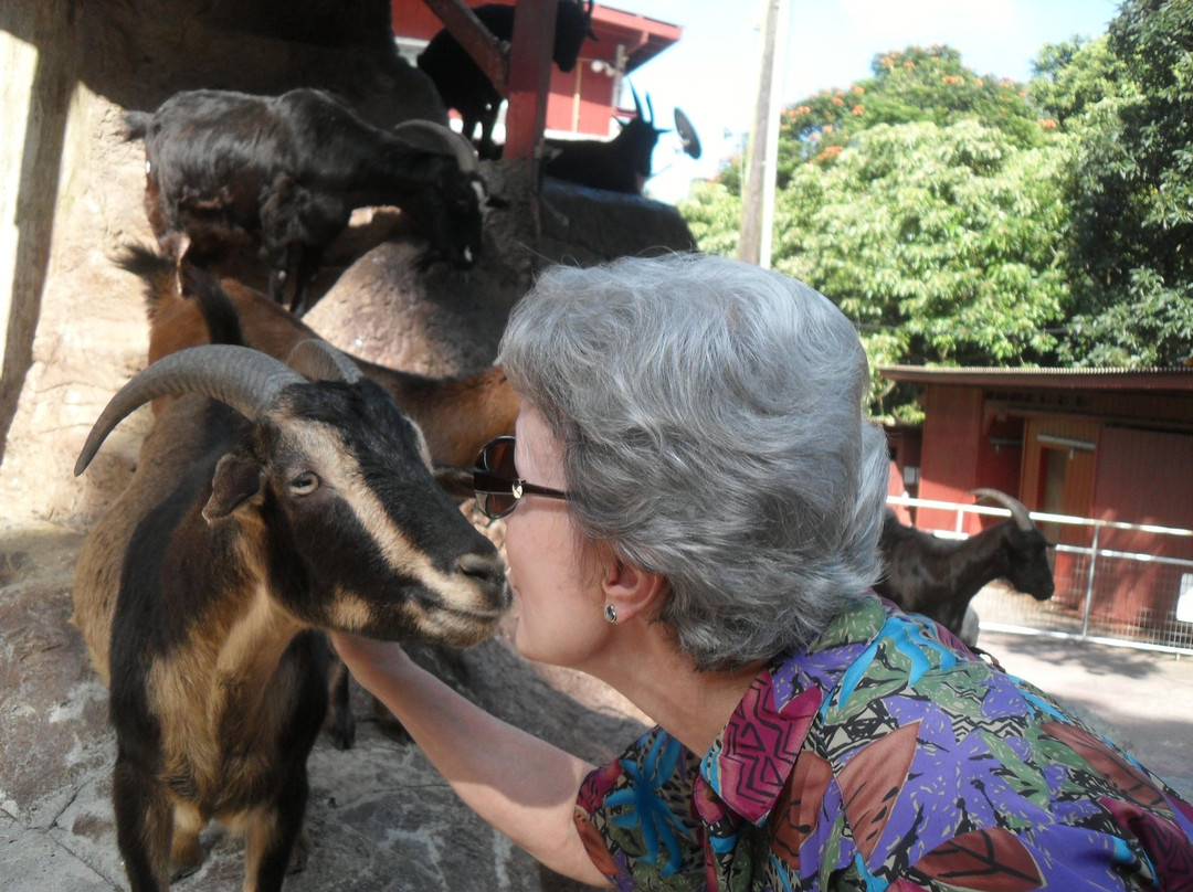 Boo Boo Zoo (The East Maui Animal Refuge)-海库必去景点