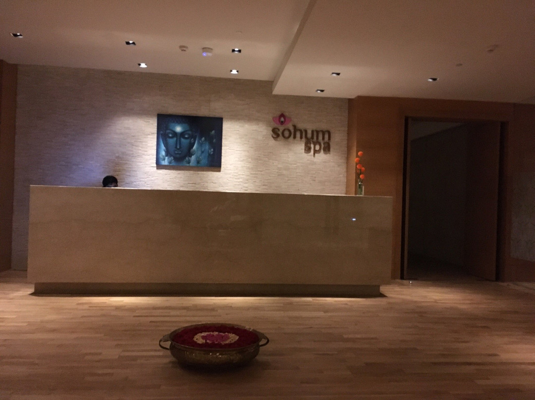 Sohum Spa-金奈（马德拉斯）必去景点