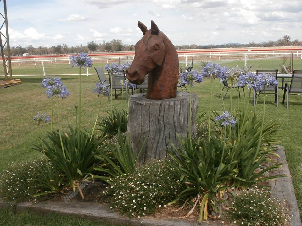 Gunnedah Jockey Club景点图片