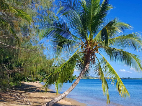 Grays Bay-博恩必去景点