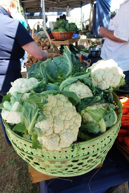 Toowoomba Farmers Market-图沃柏必去景点