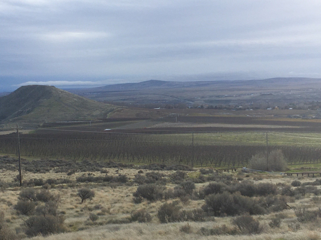 Badger Mountain Centennial Preserve-Richland必去景点