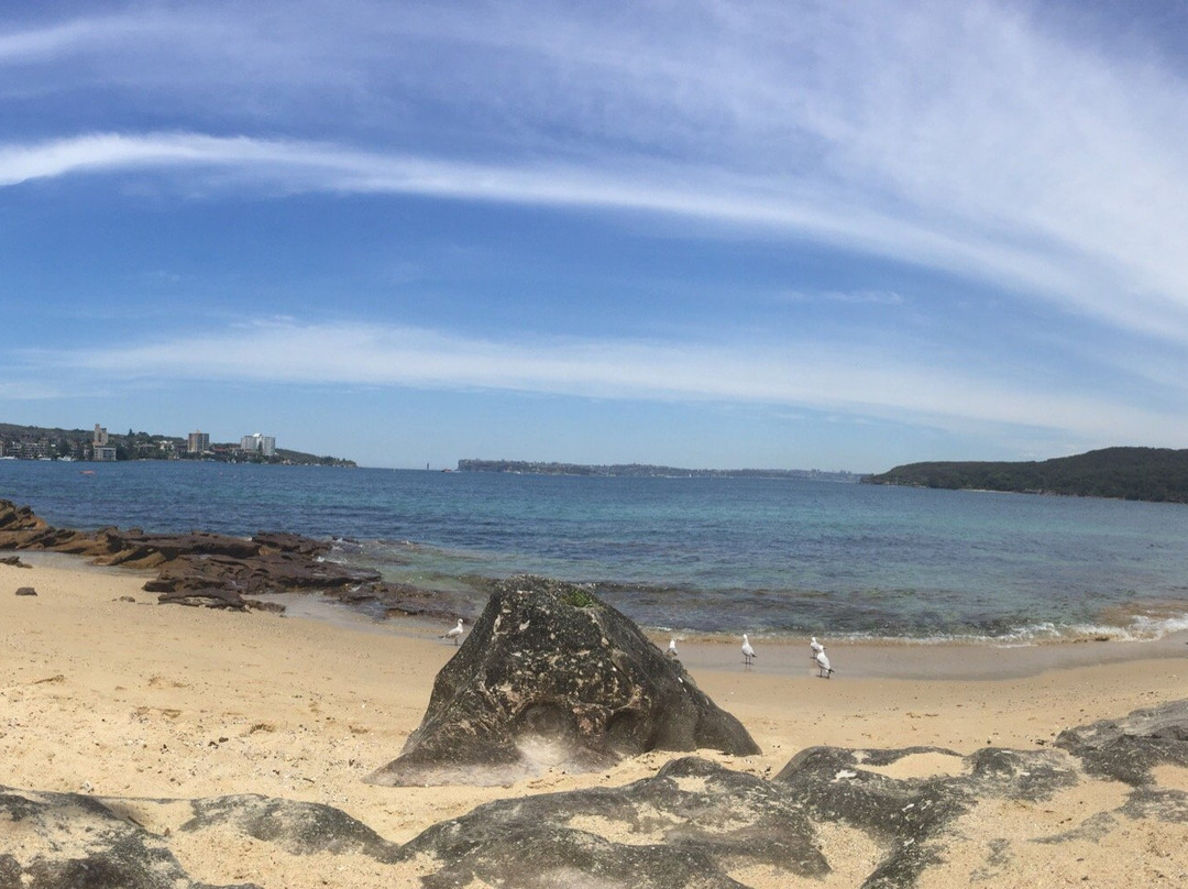 Delwood Beach景点图片