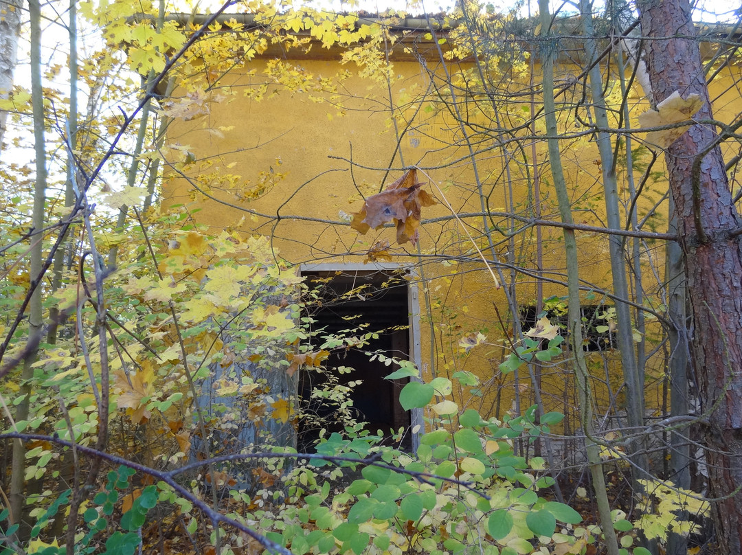 Wuensdorf Haus der Offiziere-Zossen必去景点