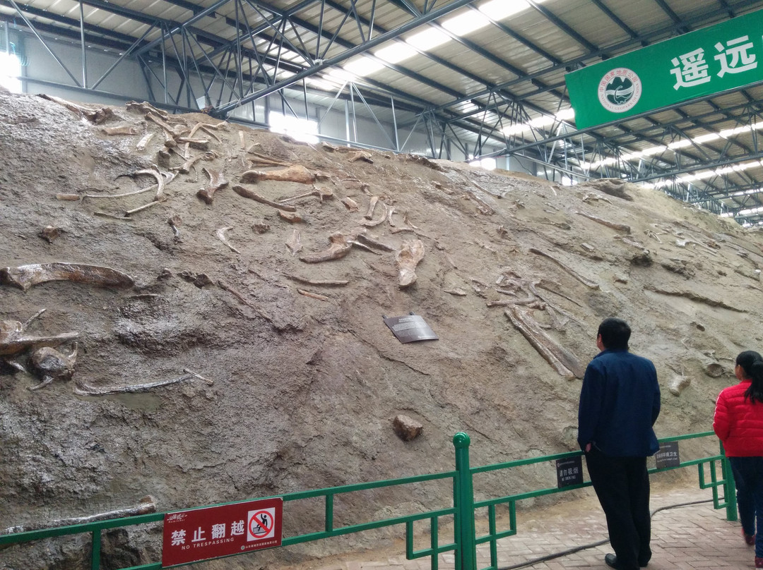 恐龙博物馆-诸城市必去景点