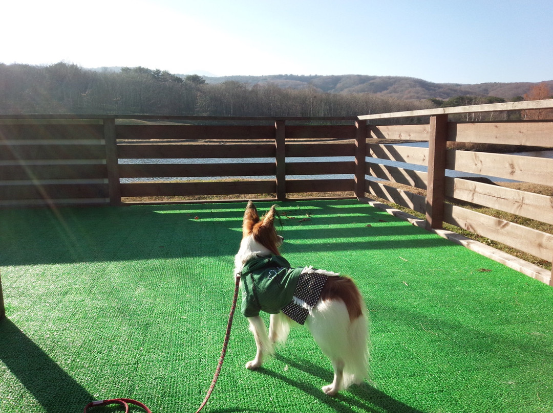 Angel Forest Nasu Shirakawa-天荣村必去景点