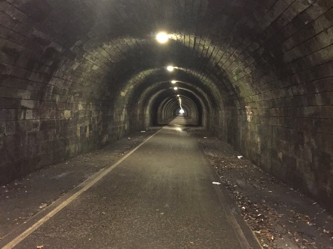 Innocent Railway Tunnel景点图片