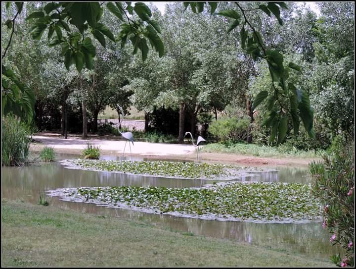 Parque de la Rambleta景点图片