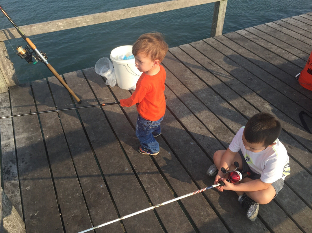 Bayside Marina-Bayside必去景点