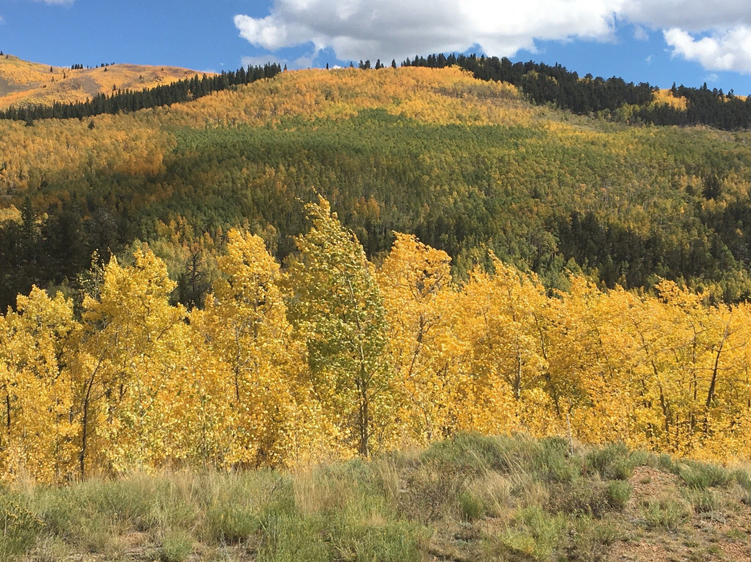 The Colorado Trail景点图片