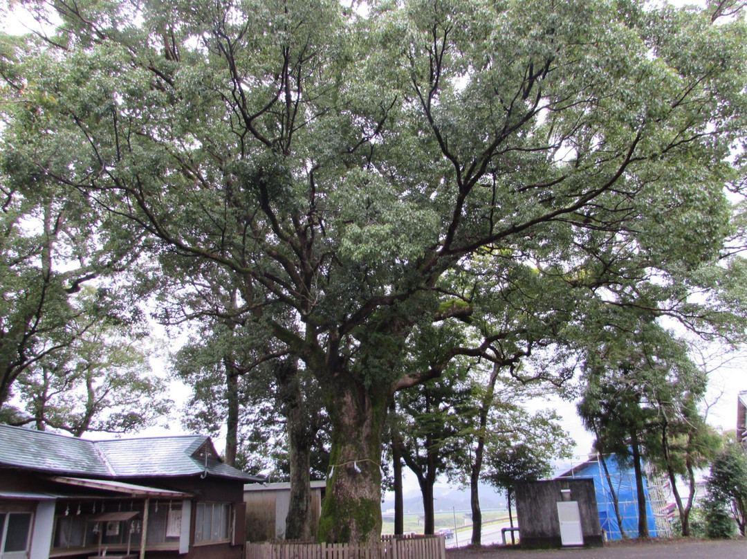 Fubaha Hachiman Shrine-四万十市必去景点