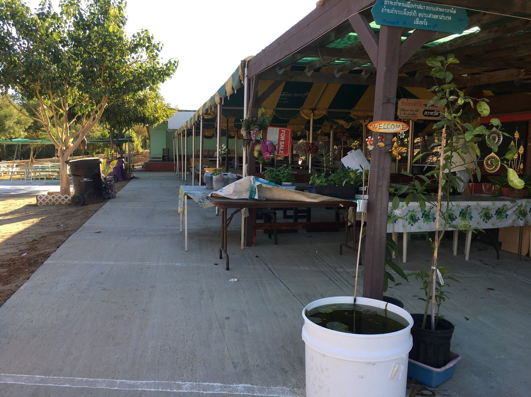 Buddhist Temple of Chino Hills-奇诺岗必去景点