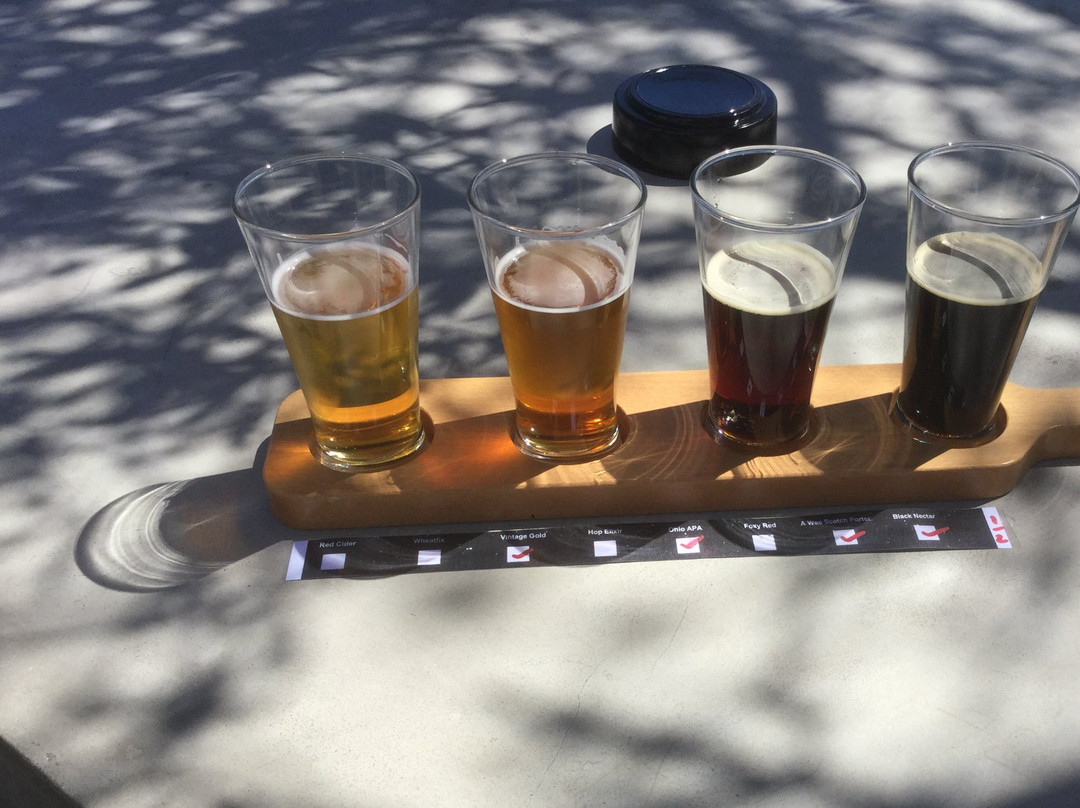 Martinborough Brewery景点图片