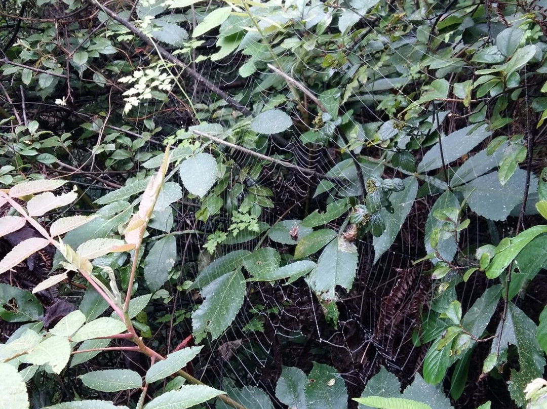 金华钓鱼矶公园-义乌市必去景点