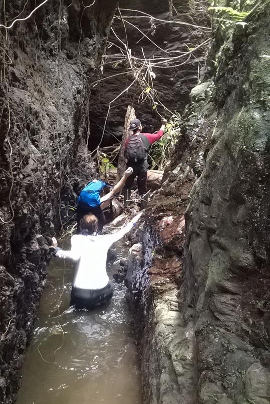 Wehea Rainforest-巴厘巴板必去景点