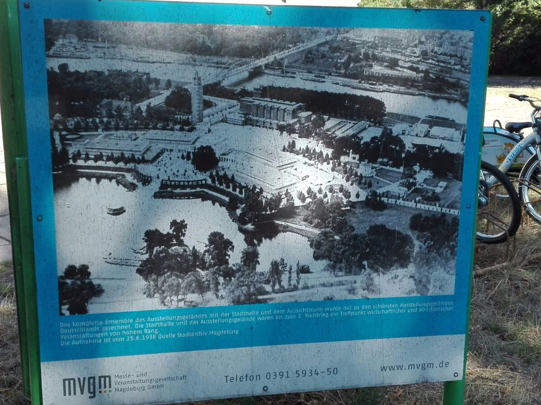 Aussichtsturm - Stadtpark Rotehorn-马格德堡必去景点