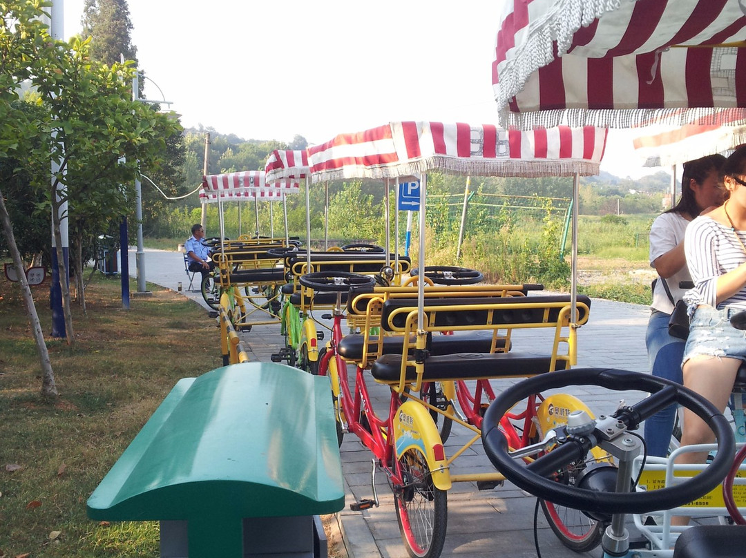 巢湖景区-巢湖市必去景点