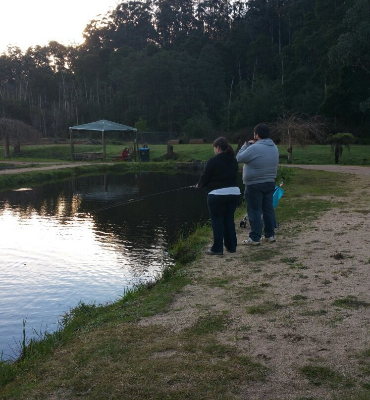Alpine Trout Farm-Noojee必去景点