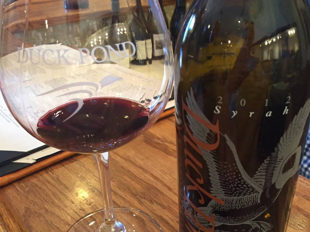 Duck Pond Cellars-Dundee必去景点