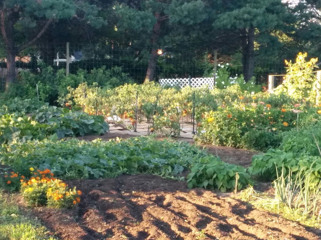 Assisi Heights-罗切斯特必去景点