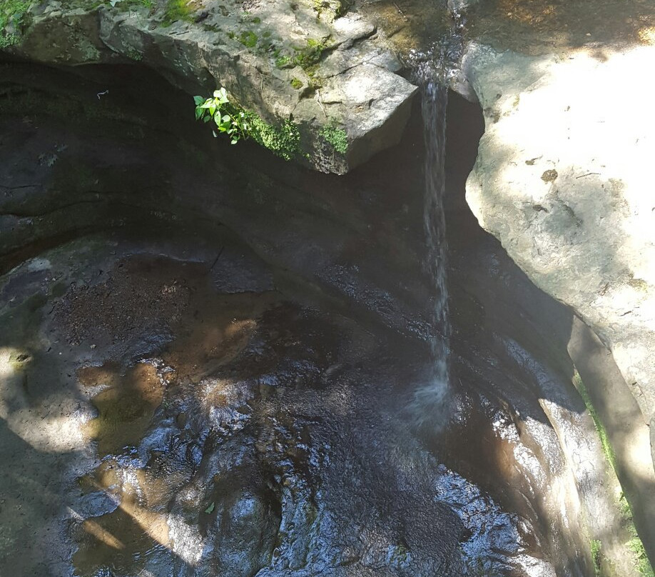 Starved Rock River Adventures-渥太华必去景点