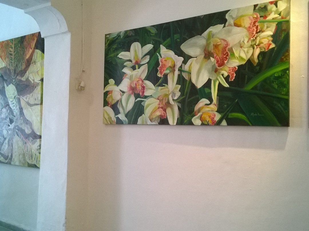 La Sala Art Gallery-梅里达必去景点