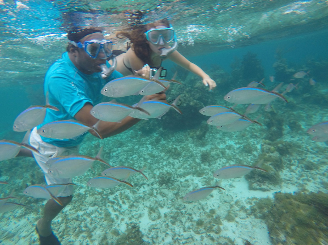 Junior's Glass-Bottom Boat-West End Village必去景点