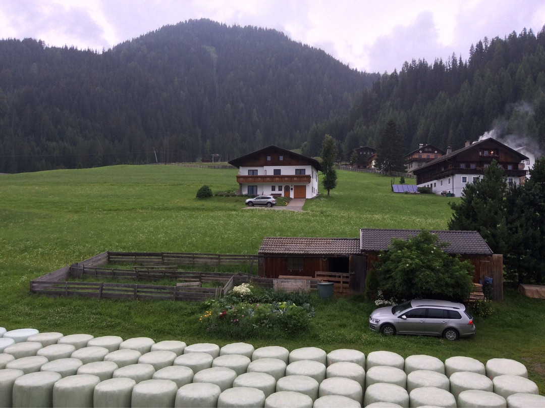 Jagdhof Pension主图