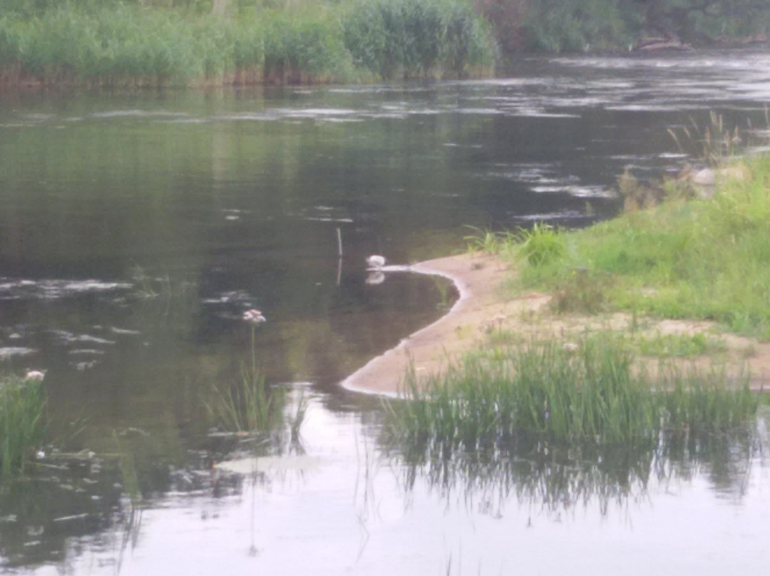 Uniejow Park