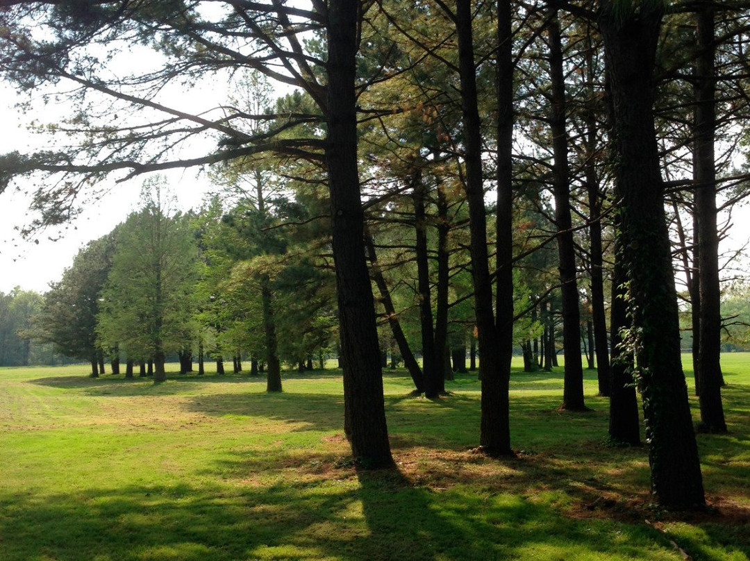 West Meadow Park-埃尔克顿必去景点