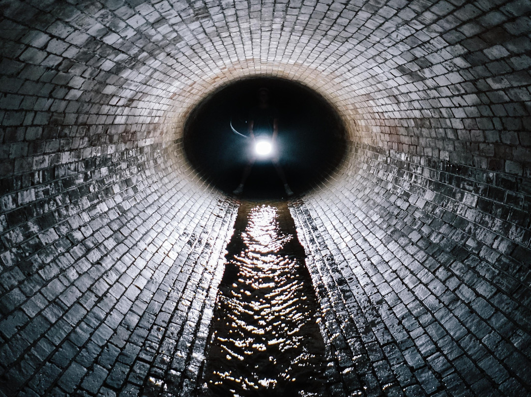 Good Hope Adventures-开普敦中心区必去景点