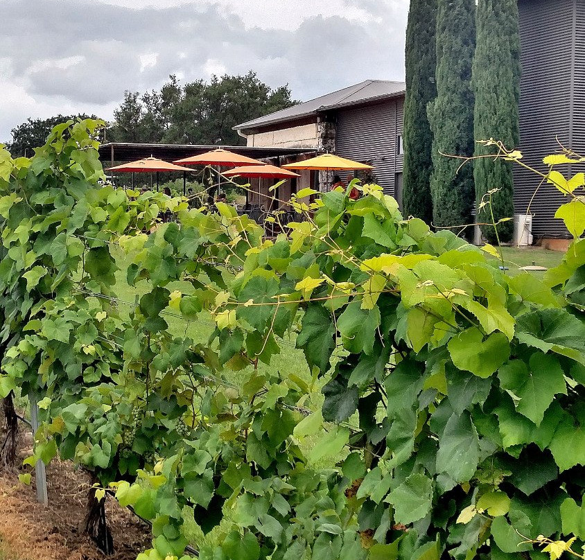 Stone House Vineyard-Spicewood必去景点