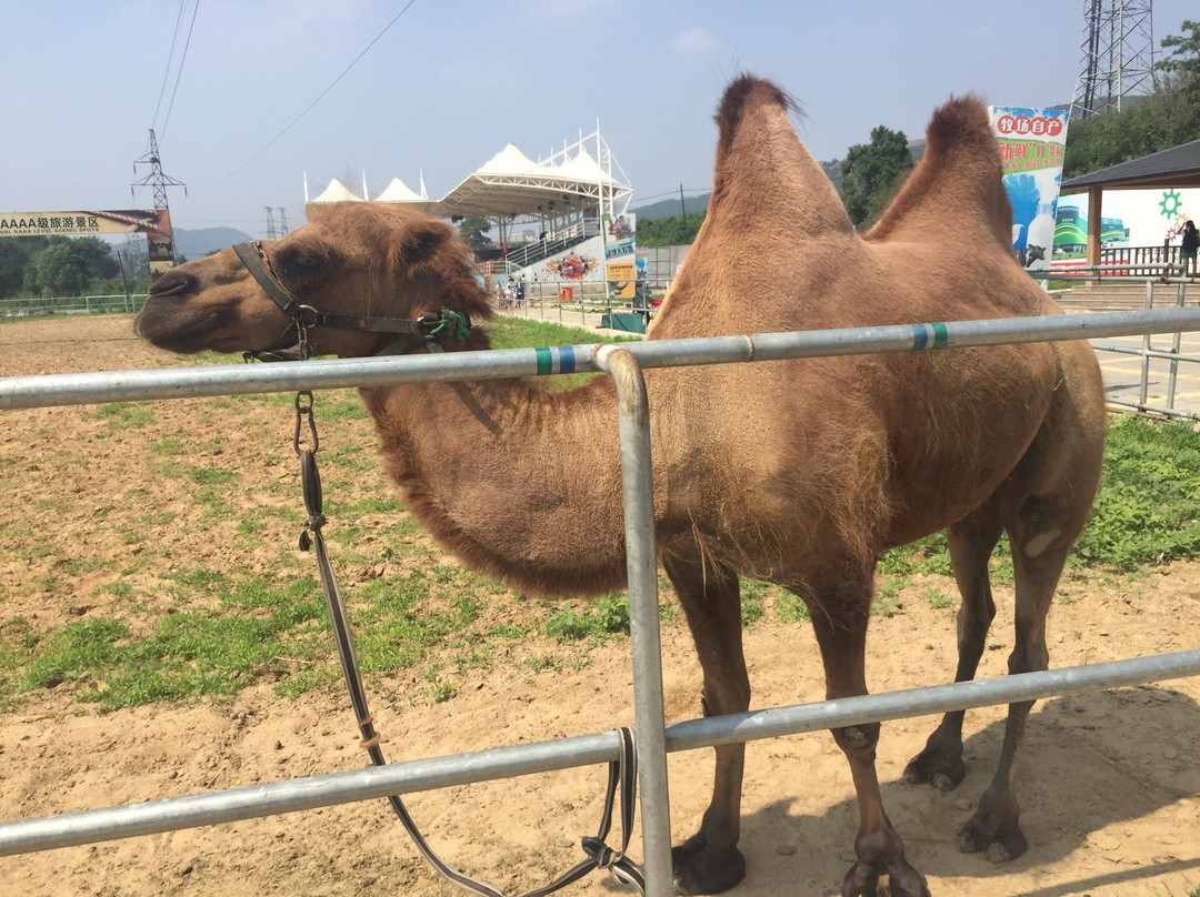 大连铭湖温泉滑雪场-瓦房店市必去景点