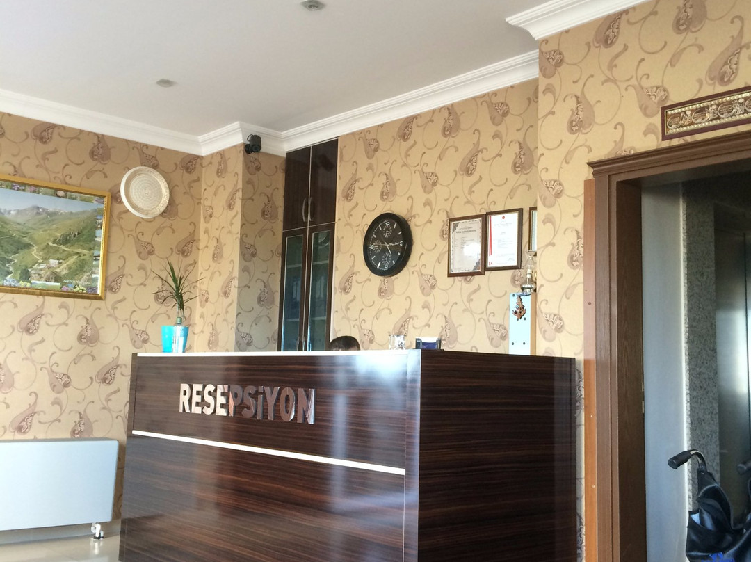 Cansizoglu Hotel主图