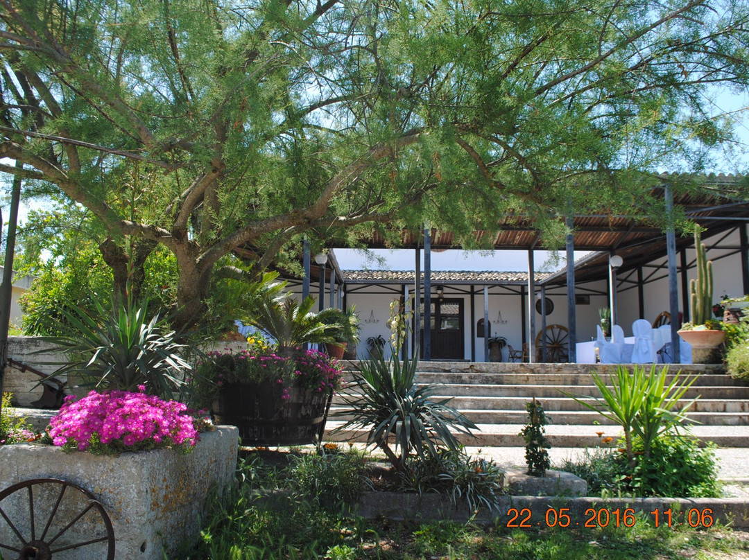 Miglionico餐馆和美食-Azienda Agrituristica Ventricelli