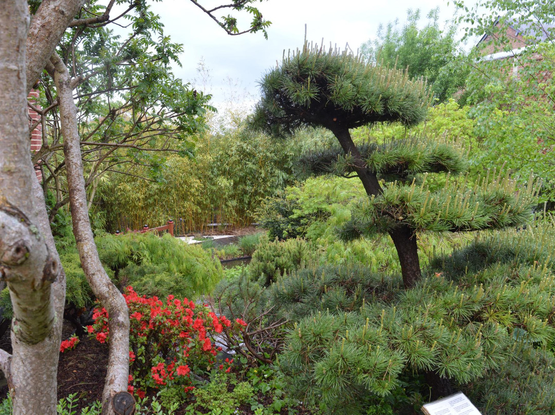 Jardin Japonais景点图片
