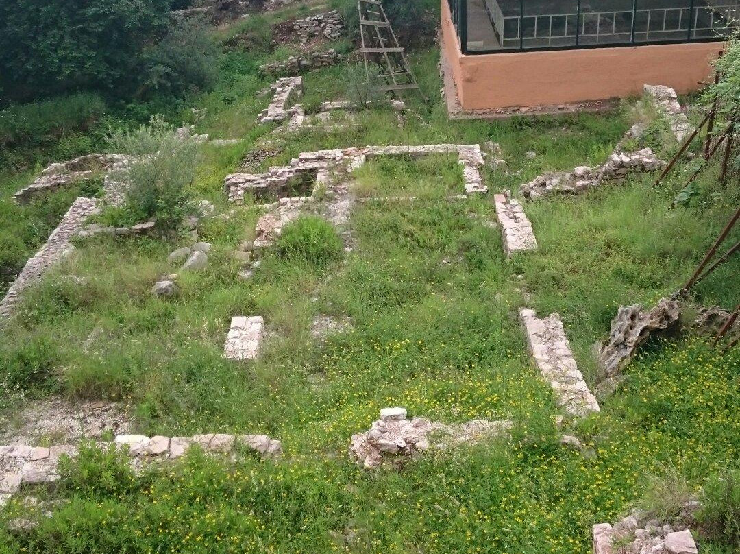 Kasnoanticki Mozaik-Petrovac必去景点