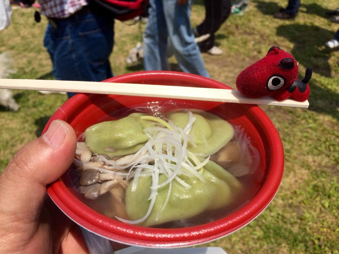 Utsunomiya Gyoza Festival-宇都宫市必去景点