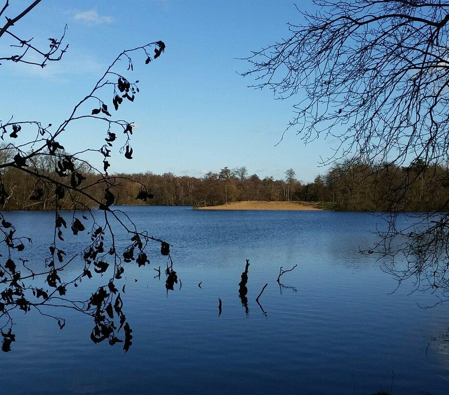 Blauer See Duisburg-Bissingheim景点图片
