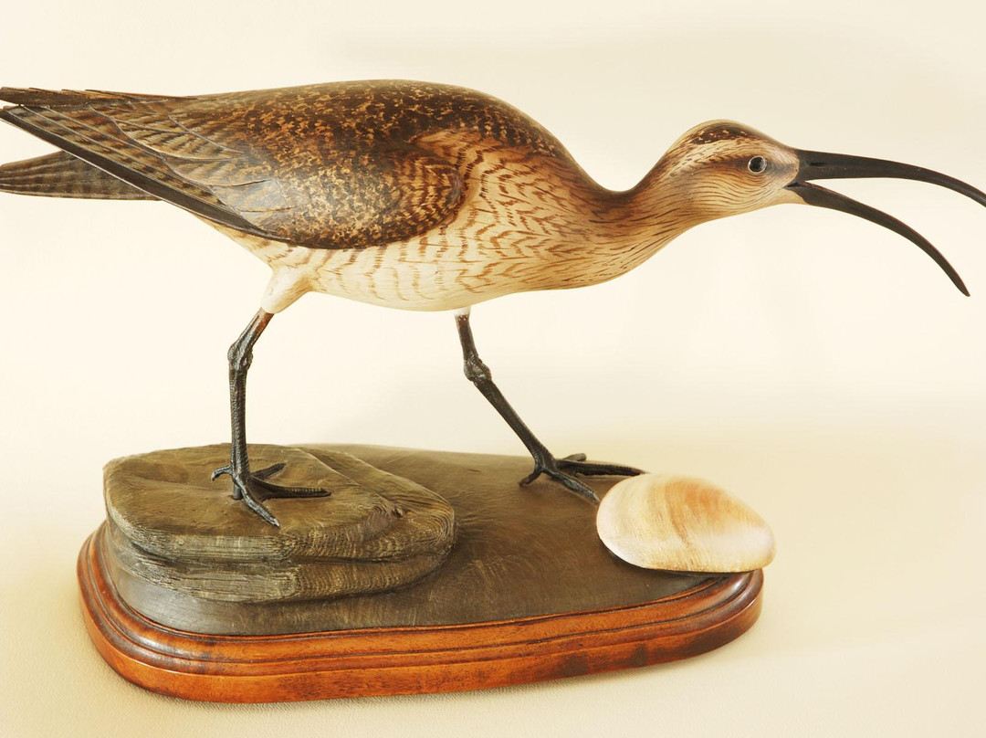 The Bird Store景点图片