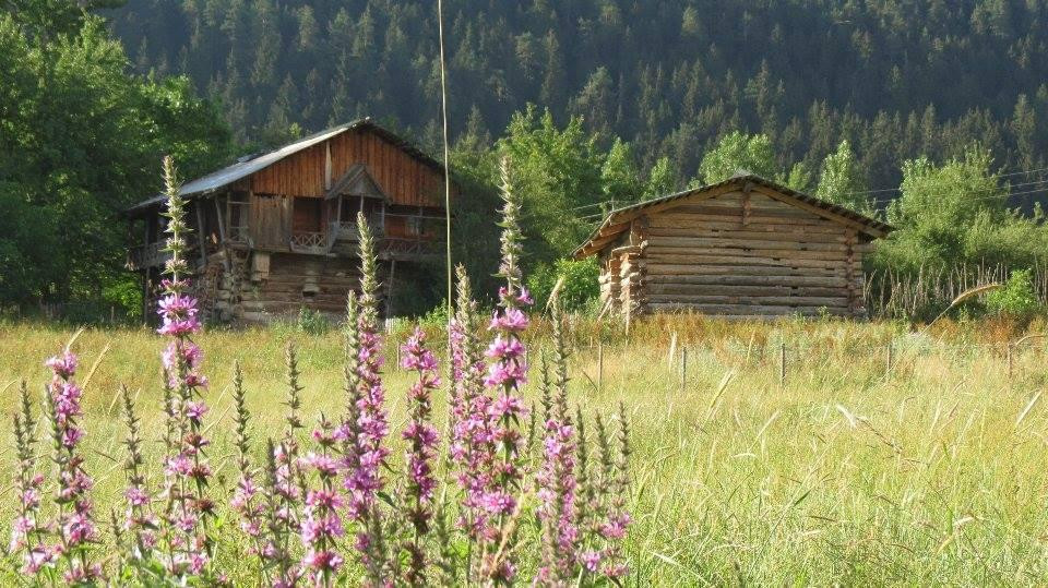 Goartvin-Tours景点图片
