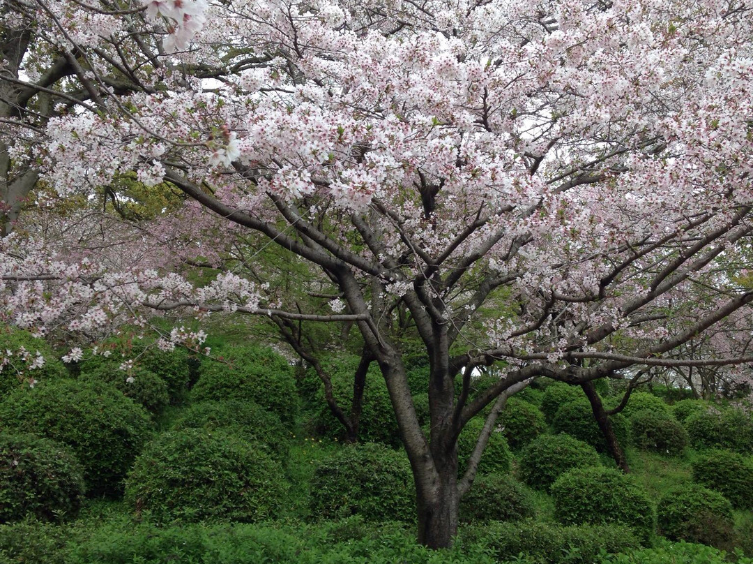 Ogi Park-小城市必去景点