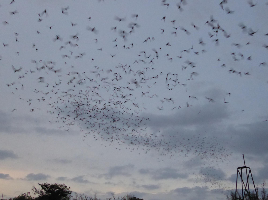 Frio Cave-Concan必去景点