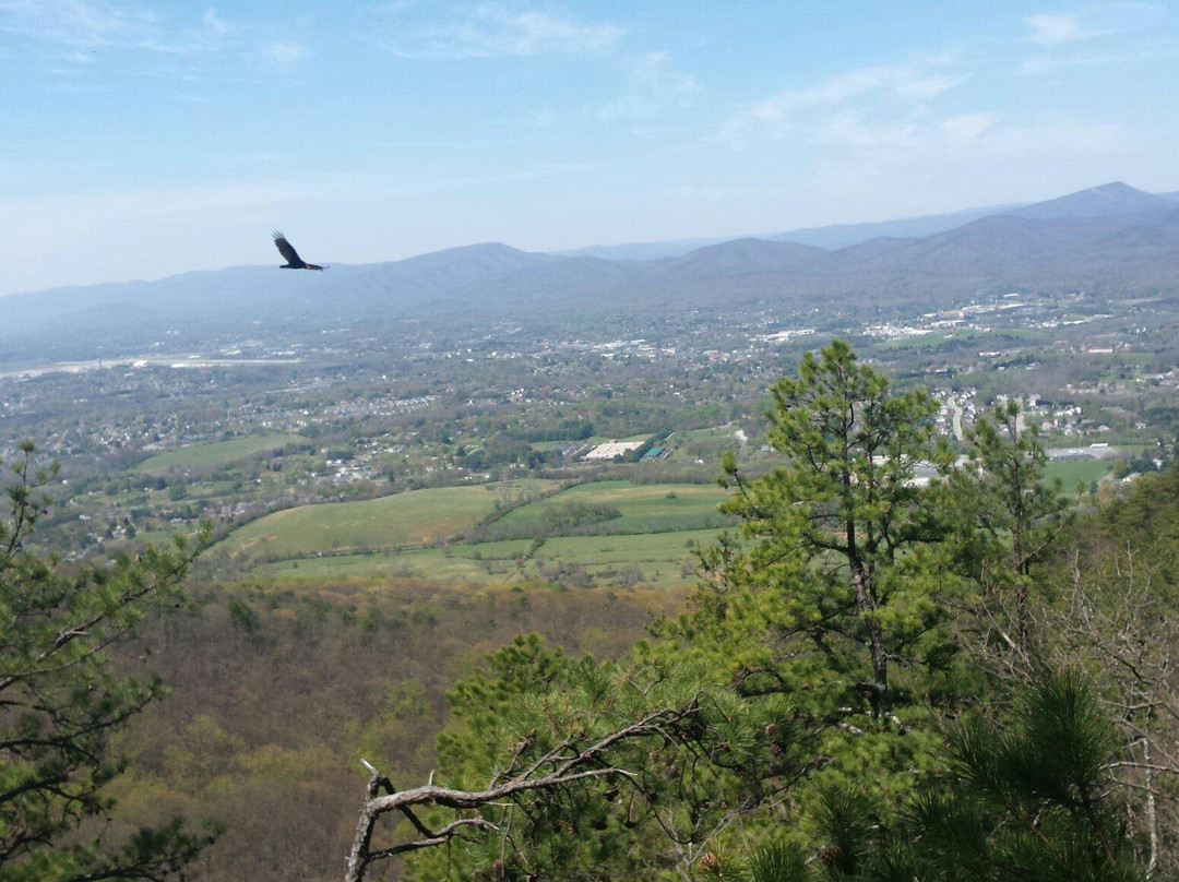 Read Mountain Preserve-罗阿诺克必去景点
