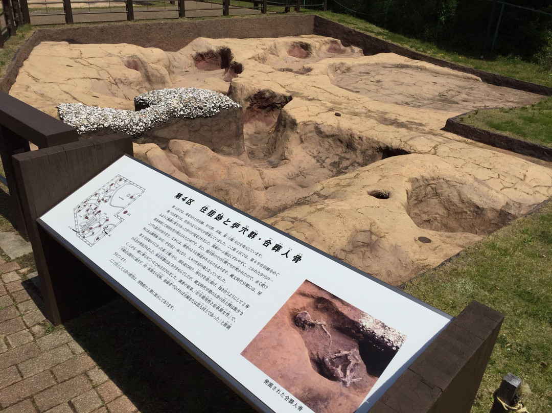 Tobinodai Historic Park Museum-船桥市必去景点