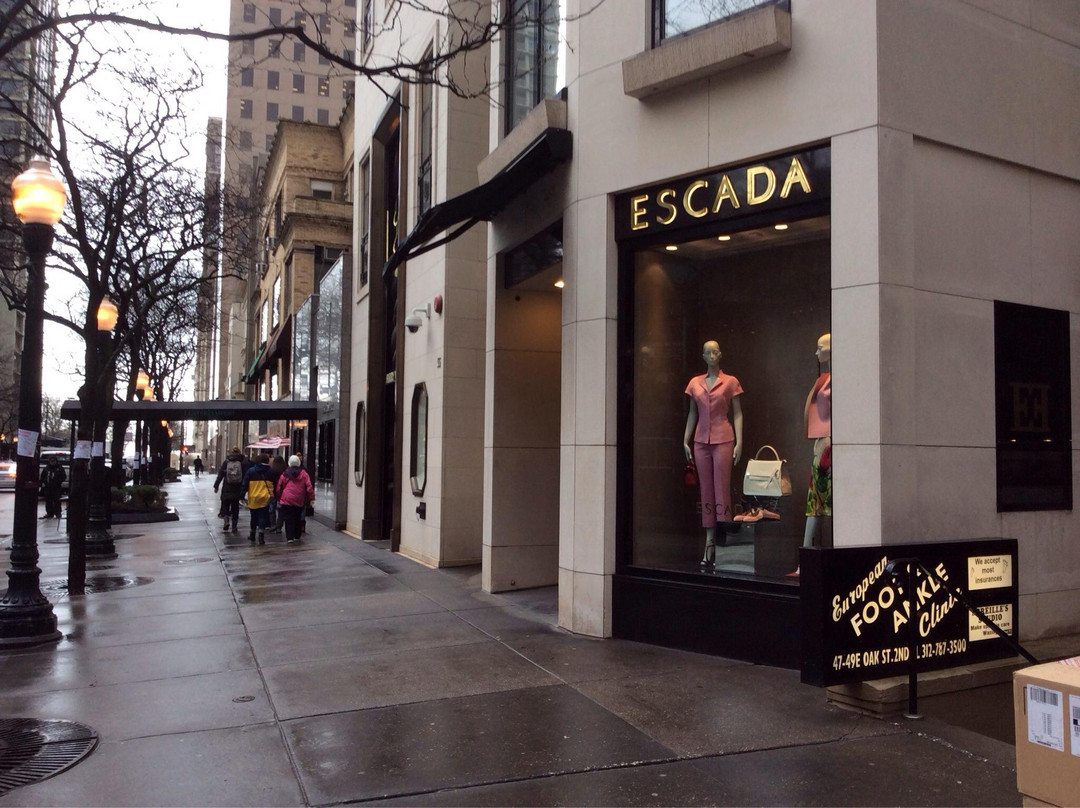 梧桐街-芝加哥必去景点