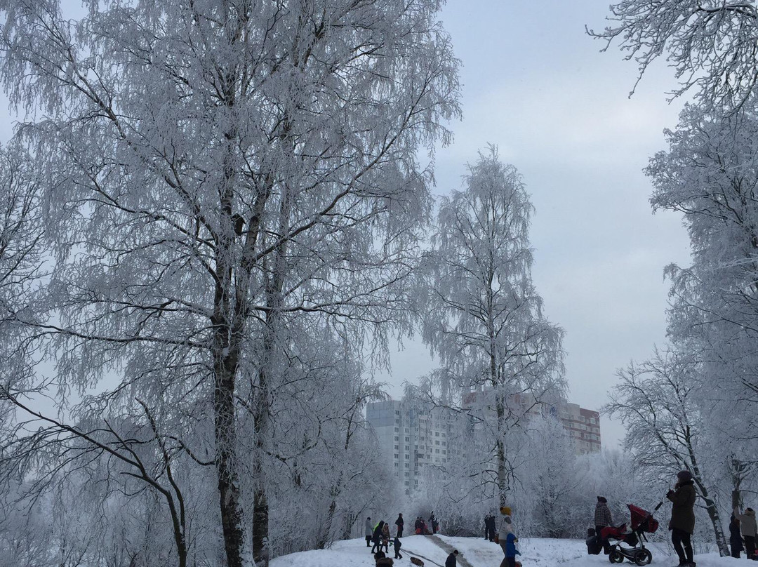 The Amusement Park in the Yesenin's Park-圣彼得堡必去景点