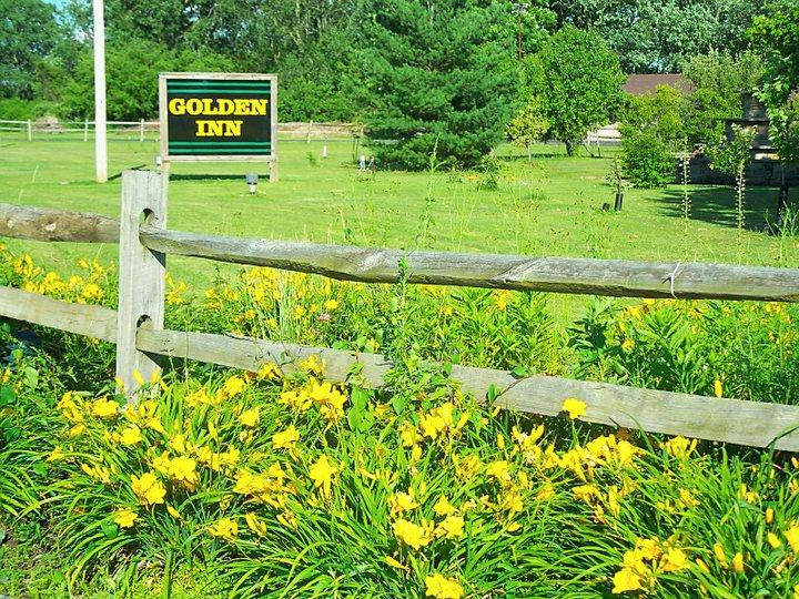 The Golden Inn主图